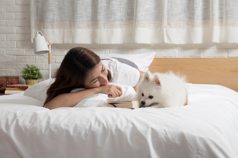 cute-pet-in-bed